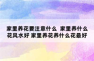 家里养花要注意什么  家里养什么花风水好 家里养花养什么花最好